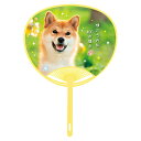 【GW特典クーポン最大1000円】伏見上野旭昇堂 uen-1405 ペットうちわ「柴犬」34.5×24.3cm 10枚入り メーカー取寄品 団扇 ウチワ 便利 ...