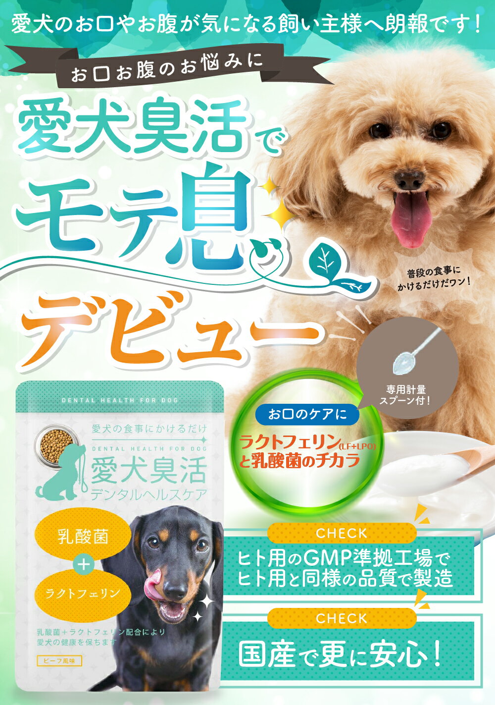 お得な6個セット【 愛犬臭活 デンタルヘルスケア 】 乳酸菌 猫 ラクトフェリン 粉末タイプ 15g 食事にかける ペット お口 サプリメント 臭い 問題 お悩み サポート おやつ 歯磨き 小型犬 中型犬 大型犬 老犬 幼犬 付属スプーン付