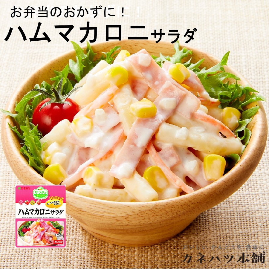 カネハツ ハムマカロニサラダ 95g 10個セット サラダがあったら！ミニ メーカー直送 お取り寄せグルメのサムネイル