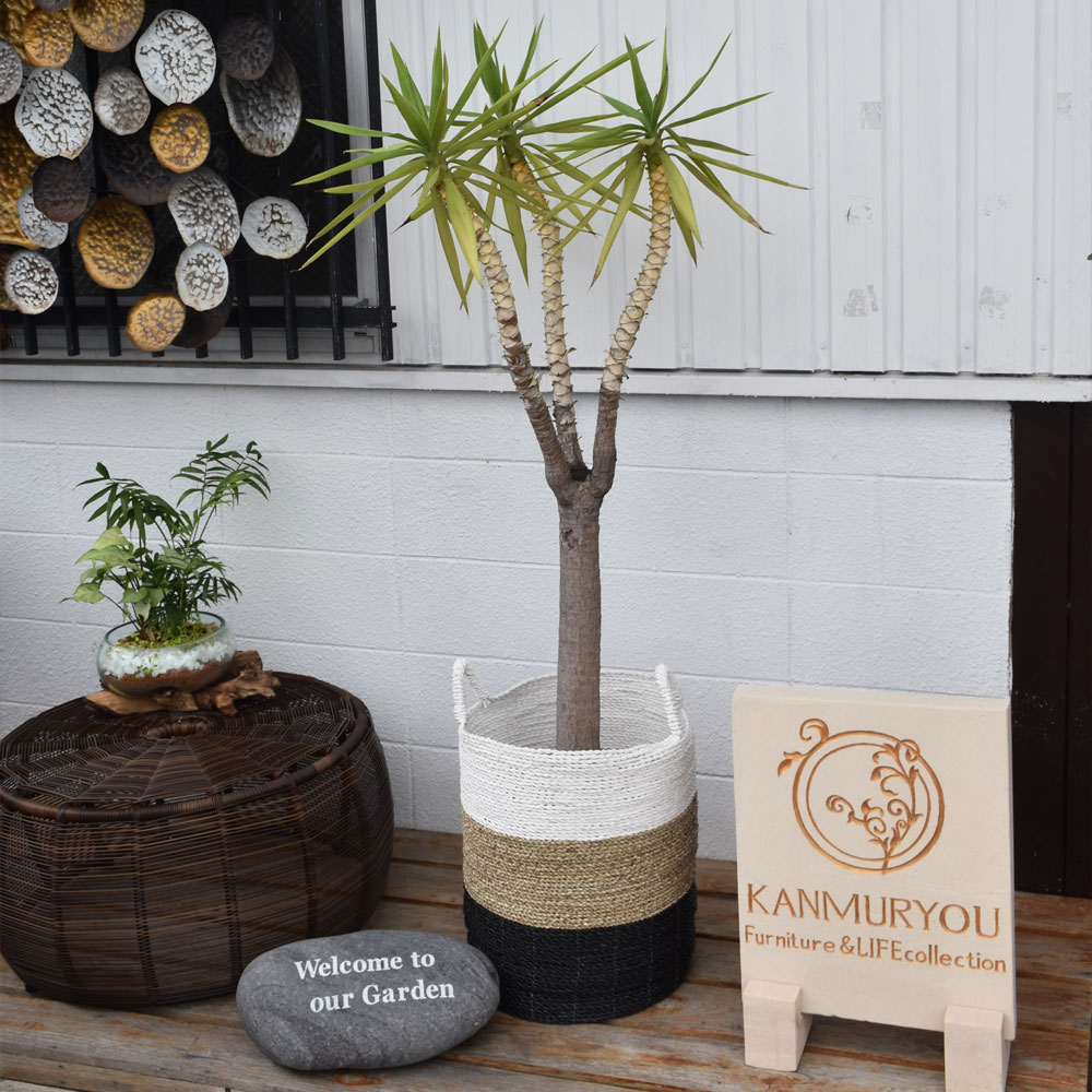 全品送料無料 シーグラス プラスチックコードバスケット lサイズ H55cm バスケット カゴ 鉢カバー ゴミ箱 ごみ箱 ダストボックス 収納 おもちゃ入れ おしゃれ 天然素材 手作り モダン インテリア 雑貨 オシャレ 北欧 シンプル ナチュラル アジアン バリ アジアン雑貨 全品送料無料 シーグラス プラスチックコードバスケット lサイズ H55cm バスケット カゴ 鉢カバー ゴミ箱 ごみ箱 ダストボックス 収納 おもちゃ入れ おしゃれ 天然素材 手作り モダン インテリア 雑貨 オシャレ 北欧 シンプル ナチュラル アジアン バリ アジアン雑貨