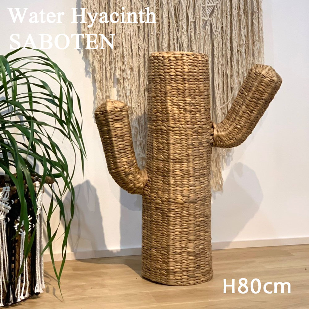 ウォーターヒヤシンスサボテンMサイ...