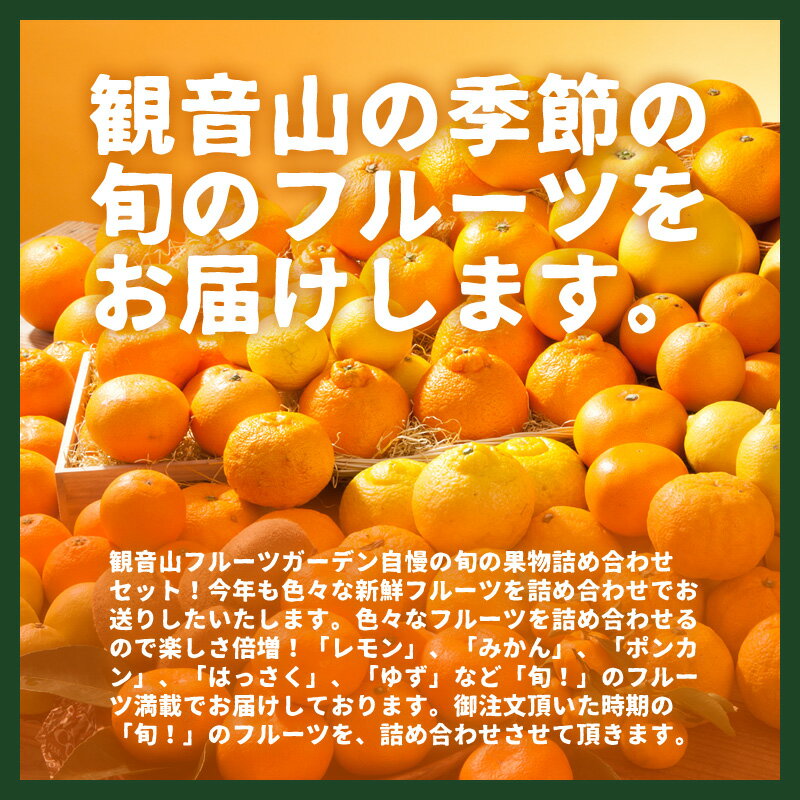 観音山フルーツガーデン楽天市場店のフルーツセット テレビ雑誌取材多数 イロトリドリ 観音山フルーツガーデン 旬のフルーツ詰め合わせセット ゴールド＆みかんはちみつ130g　送料無料｜アングル2
