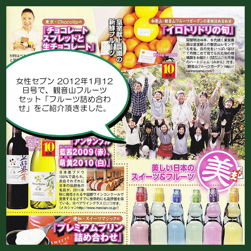 観音山フルーツガーデン楽天市場店のフルーツセット テレビ雑誌取材多数 イロトリドリ 観音山フルーツガーデン 旬のフルーツ詰め合わせセット ゴールド＆みかんはちみつ130g　送料無料｜アングル3