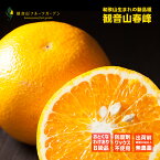 春峰 ハルカゼ B級 6kg 和歌山 観音山フルーツガーデン 送料無料