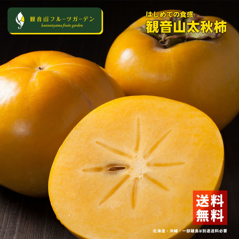 太秋柿 たいしゅうかき プリンセス A級品 6kg 和歌山 観音山フルーツガーデン 送料無料