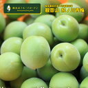 和歌山県は梅の生産量日本一！世界に誇る紀州の梅！梅酒や梅シロップ作りにほろ酔い青梅。梅酒づくりには固い青梅がオススメ！B級品は外観が訳あり、傷有りのものとなります。 ■紀ノ川梅 ほろ酔い青梅 B級 ■生産地：和歌山県 ■内容量：6kg　（1kgあたり約35個） ■生産者：観音山フルーツガーデン世界に誇る紀州の梅！和歌山県は梅の生産量日本一！世界に誇る紀州の梅！梅酒や梅シロップ作りにほろ酔い青梅。梅酒や梅シロップづくりには固い青梅がオススメ！もぎたての大粒青梅を本場和歌山から産地直送でお届けします。B級品は外観が訳あり、傷有りのものとなります。本場和歌山県産梅梅生産量日本一を誇る和歌山県。観音山フルーツガーデン近隣の連携農家さんが栽培された梅をお届けいたします。1kgあたり約35個の紀州梅がはいっています。なるべく大玉の梅をお送りします。本場和歌山県の梅で梅干しや梅酒づくりをお楽しみください。