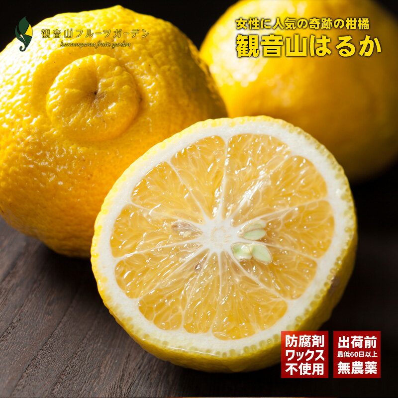 はるか 遥か A級品 8kg 和歌山の農園から直送 観音山フルーツガーデン 送料無料