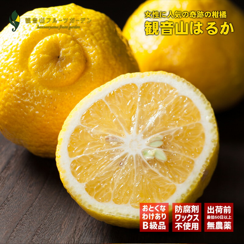 はるか やんちゃ娘 訳ありB級品 8kg 和歌山の農園から直送 観音山フルーツガーデン 送料無料