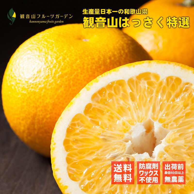 はっさく 特選 スーパームーン 12玉 和歌山 観音山フルーツガーデン 送料無料
