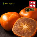 初回購入者様限定 紀の川柿 黒あま蜜柿 1箱 2kg 観音山フルーツガーデン 送料無料
