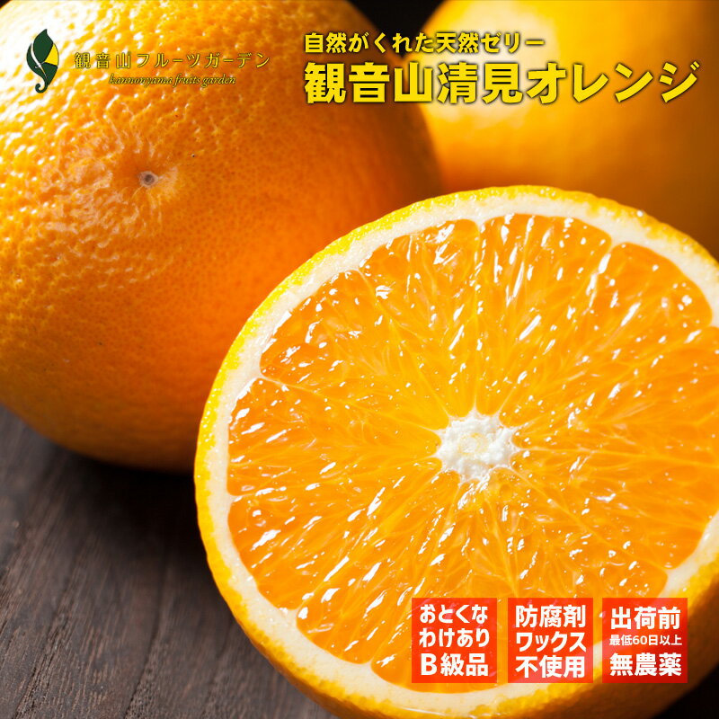 清見オレンジ おてんば娘 B級品 7kg 和歌山 観音山フルーツガーデン 送料無料