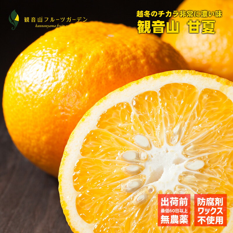 甘夏 和歌山 観音山 A級品 甘酸っぱい夏 4kg 観音山フルーツガーデン 送料無料