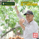 西王母 伝説を受け継ぐ桃 B級 2kg 観音山フルーツガーデン 送料無料 予約商品