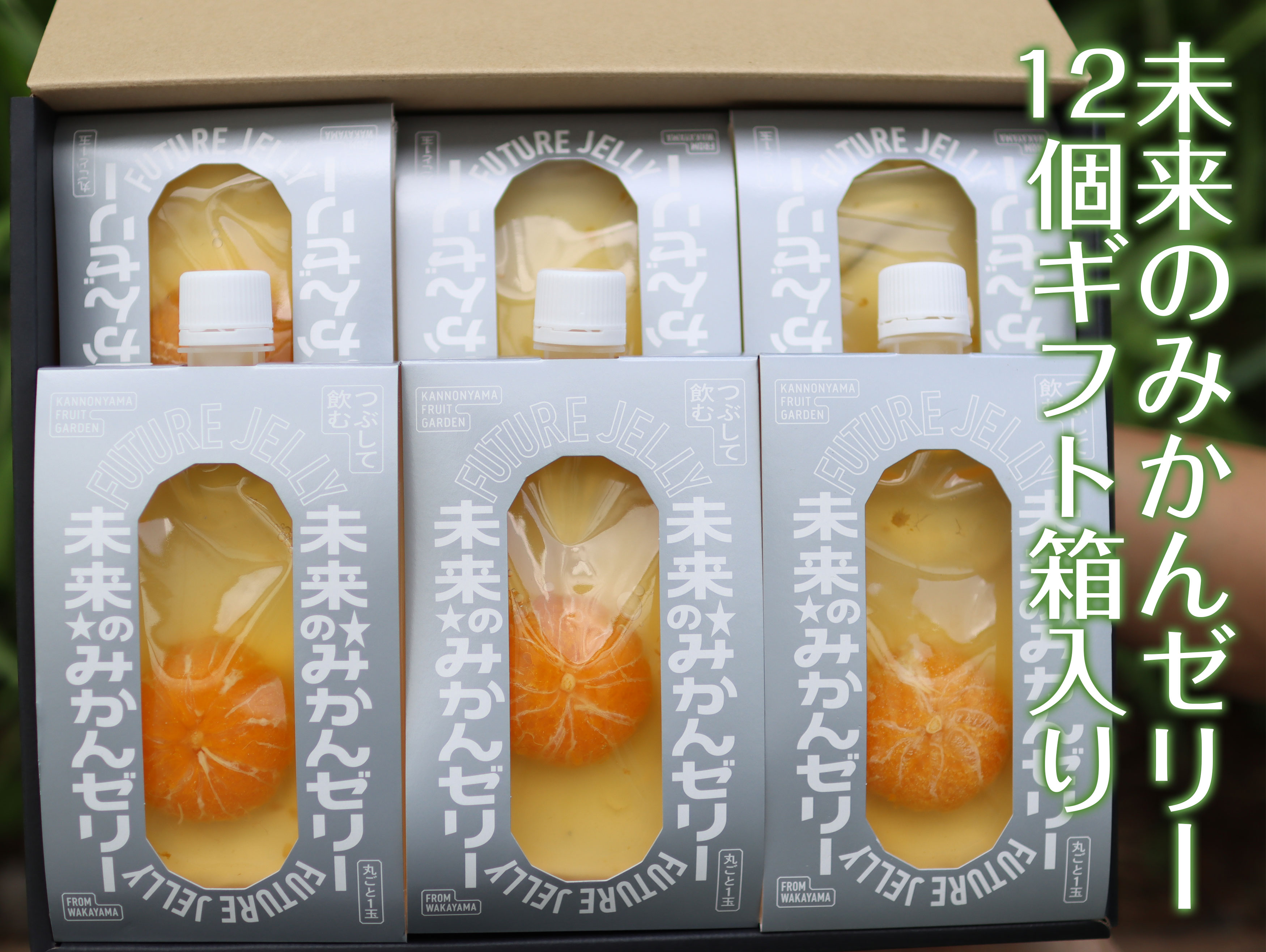 未来のみかんゼリー 12個入ギフト箱（観音山みかんとろコク搾り果汁使用）