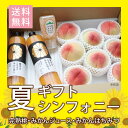 観音山フルーツガーデン ギフトセット シンフォニー夏ギフト 和音 完熟桃&とろコク搾り&みかん生はちみつ送料無料