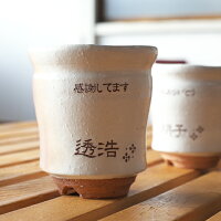 【送料無料】【名入れギフト・両親へのプレゼントに】萩焼窯変彩シリーズ夫婦湯呑