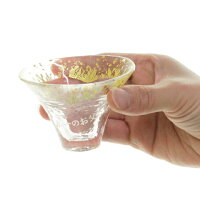 【送料無料】【ペアセット・名入れギフト・還暦祝いや両親へのギフト】名入れ冷酒杯揃え富士山【楽ギフ_名入れ】【楽ギフ_包装】【RCP】10P30Nov13