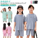 接触冷感 ジュニア 110 男の子 速乾 涼しい 2点セット 女の子 半ズボン 上下セット 夏 子供 半袖 ルームウェア 薄手 春 吸汗 速乾 無地 パジャマ 子ども ひんやり キッズ 部屋着 寝間着 寝巻 ナイトウェア ペアルック 100 通気性 120 130 140 150 160 170 冷感