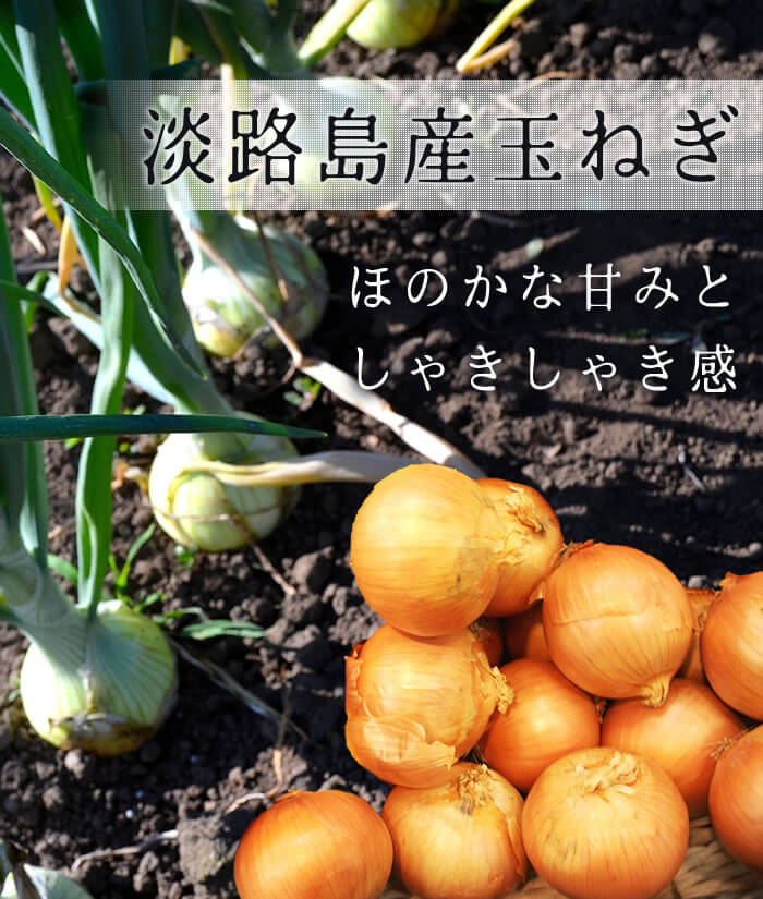 【贈答用】ギフトセット たまねぎ味噌汁フリーズドライのギフト たまねぎ味噌汁フ...