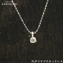  Ptダイヤプチネックレス プラチナネックレス ダイヤモンド ダイヤモンドプチネックレス 一粒ダイヤ 一粒ダイヤネックレス 記念日 誕生日 プレゼント ギフト 贈り物 お値打ち お出かけ アウトレット 