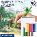 色鉛筆 油性 48色 セット 146 ステッドラー 塗り絵 子供 大人の塗り絵 プレゼント