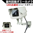 ダミーカメラ（ショートタイプ）LED点滅式 5年以上電池交換不要！本物そっくり屋外防雨アルミハウジング ダミー防犯カメラ 国内組み立て品【送料無料】KC-12501