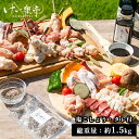 【送料無料】けい樂亭 阿波尾鶏バーベキューセット 【焼き鳥のたれ・塩胡椒付き】 父の日 高級 地鶏 鶏肉 やきとり 焼鳥 串焼き 焼きとり もも ねぎま むね 皮 砂肝 手羽先 手羽元 キャンプ BB…