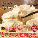 【半額★13日23時59分まで】4,980円→2,490円 【楽天焼売ランキング1位獲得】ぎっしり大