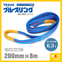 TESAC ブルースリング 200mm×8m(荷重6.3t) JIS3等級 両端アイタイプ ナイロンスリング テザック ベルトスリング　吊具 揚重
