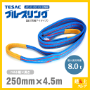 TESAC ブルースリング 250mm×4.5m(荷重8.0t) JIS3等級 両端アイタイプ ナイロンスリング テザック ベルトスリング　吊具 揚重