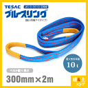 TESAC ブルースリング 300mm×2m(荷重10.0t) JIS3等級 両端アイタイプ ナイロンスリング テザック ベルトスリング　吊具 揚重