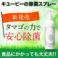 【ウィルス 除菌 スプレー】安全&無害で安心除菌!約670回使用可能 K Blanche(ケイブランシュ)