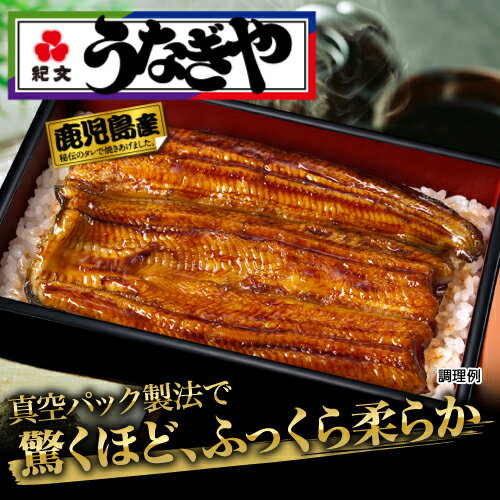 紀文 うなぎや 鹿児島産 4パック　　　【 うなぎ蒲焼 カット 真空パック うなぎ 鰻 ウナギ 蒲焼き 蒲焼 国産 鹿児島 たれ 贈答 贈り物 母の日 ギフト プレゼント お取り寄せ グルメ お酒 おつまみ つまみ 肴 父の日 土用の丑の日 お中元 送料無料 】