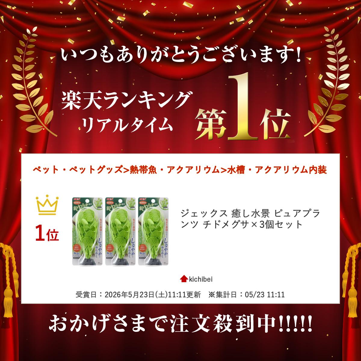 ジェックス 癒し水景 ピュアプランツ チドメグサ×3個セット
