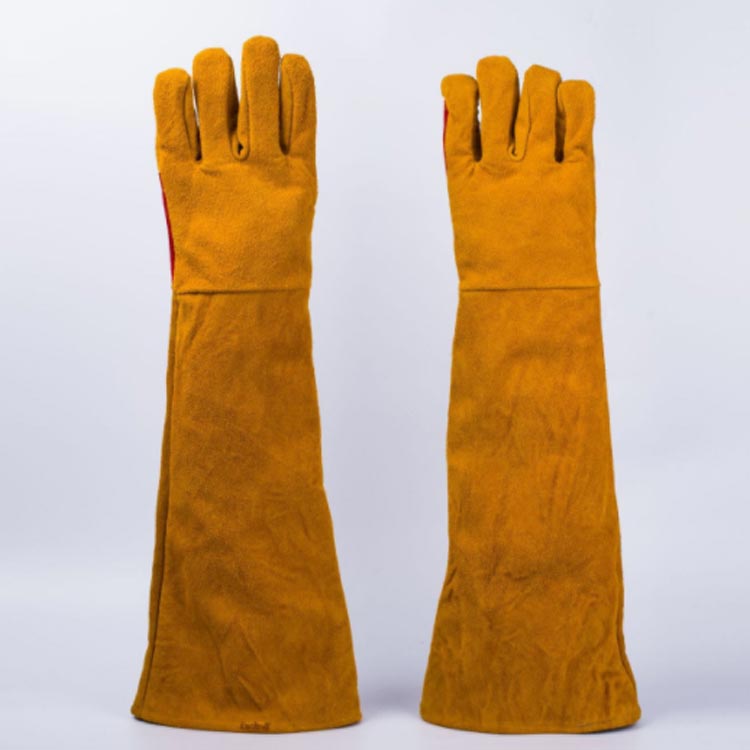 ���� ���ߤĤ��ɻ� ������ɻ� ���ڤ� �ڥåȥ������� ���� ����� ǭ �ð�դ������� 45cm �ͤ��ɤ��ɻ� �ѵ��� �� �������� ǭ �� ������ �ꥹ ����ڥå� �� ���� �ɿ� �����ߤ� �ȥȥ� ����̵�� �����ǥ˥� ������ ��Ǯ ���� ���� ���ڤ�