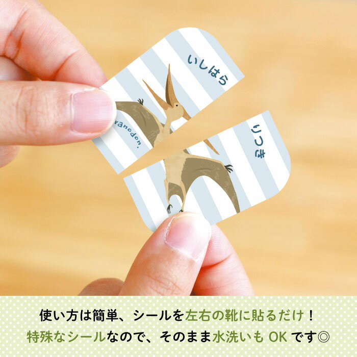 Stylish!名入れができるくつの絵あわせ目印ステッカー ダイナソー（プテラノドン）♪入園・入学の準備にオススメ！ 靴の目印に♪（ 恐竜 左右 インソール 履き間違え 防止 シール ステッカー ワンポイント キャラクター シューズ 子供靴 デコる ）