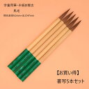 ≪本日ポイント5倍≫ 書道 筆 小学生 習字 筆 習字筆『 書写 5本セット 』 書 書道 習字 書写 筆 毛筆 天尾筆 半紙 お稽古 学童 小学生 リーズナブ...