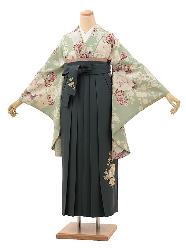 卒業式 袴 レンタル A161 Kansai うぐいす色椿菊梅×緑袴 卒業式 袴 レンタル 女性 卒業式袴 フルセットレンタル 大学生 はかま 女性 卒業袴セット 卒業式袴レンタル セット 大学 袴セット 卒業袴レンタル 着物レンタル 卒業式袴レンタル 往復送料無料【レンタル】 2
