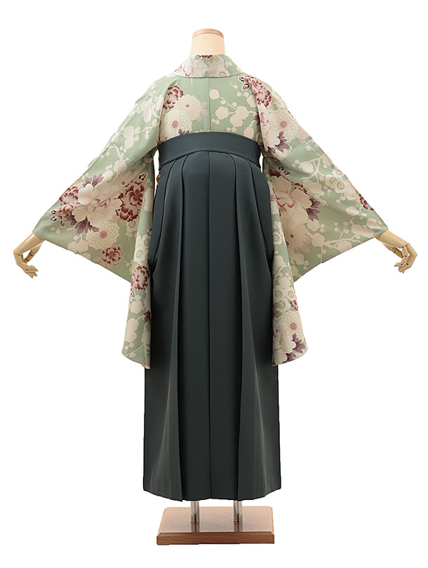卒業式 袴 レンタル A161 Kansai うぐいす色椿菊梅×緑袴 卒業式 袴 レンタル 女性 卒業式袴 フルセットレンタル 大学生 はかま 女性 卒業袴セット 卒業式袴レンタル セット 大学 袴セット 卒業袴レンタル 着物レンタル 卒業式袴レンタル 往復送料無料【レンタル】 3