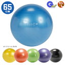 ギムニク バランスボール ギムニクプラス65 GYMNIC PLUS 65cm 破裂しない 耐荷重300kg トレーニングボール エクササイズボール 日本Gボー...
