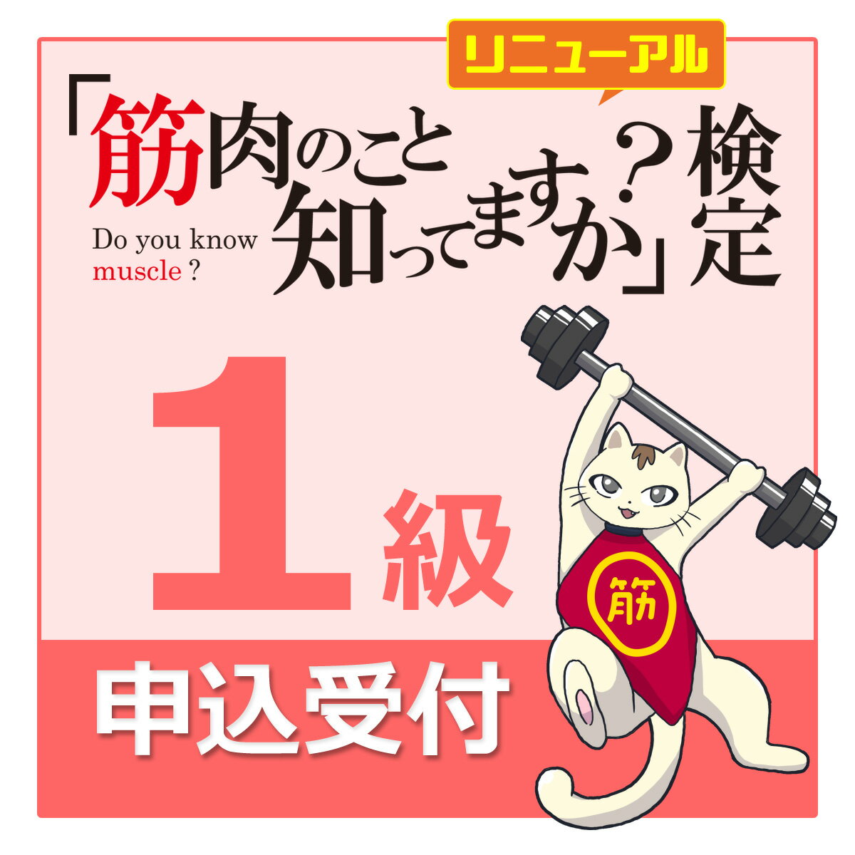 製品仕様 商品名 「 筋肉のこと知ってますか？検定 1級 」 受験申込 受験資格 2級、3級合格者のみ受験可能（1級合格の合格証書は2級、3級合格している場合に贈呈） 合格基準 90％以上の正解で合格 企画運営 「筋肉のこと知ってますか？」...