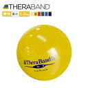 黄色 セラバンド(Theraband)ソフトウエイトボール イエロー 重さ:1.0Kg 直径11cm エクササイズ 筋トレ リハビリ トレーニング グッズ アイ...