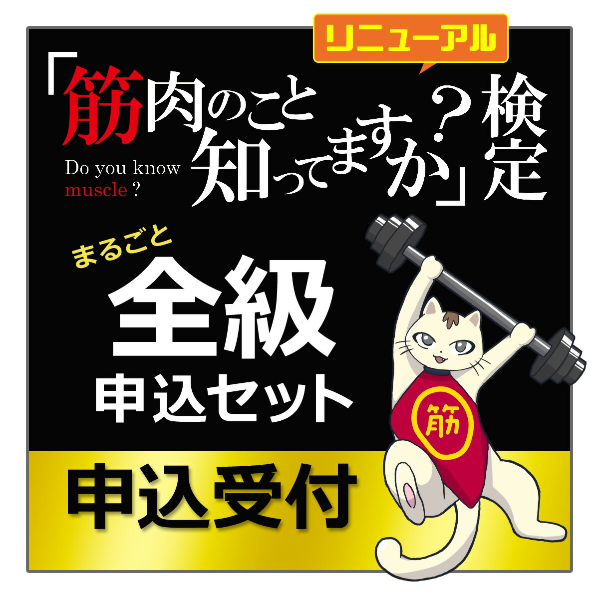 検定 筋肉 試験 「 筋肉のこと知ってますか？検定 まるごと全級申込セット 」 自宅受験 運動 からだ 健..