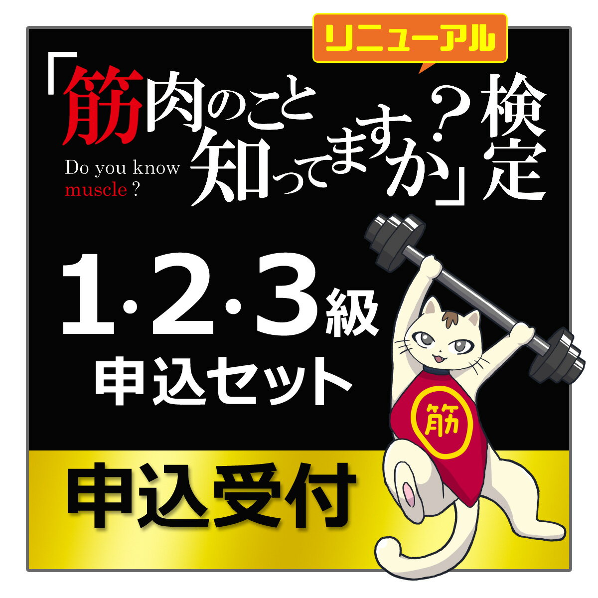 検定 筋肉 試験 「 筋肉のこと知ってますか？検定 1・2・3級申込セット 」 自宅受験 運動 からだ 健康 合格証書 合格特典 フィギュア ピンバッチ