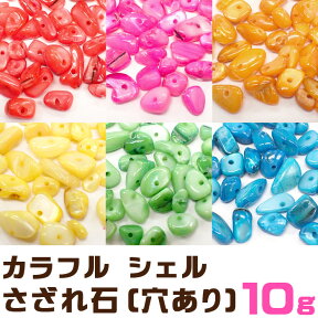 カラフル シェル さざれ石 (穴あり) 【10g】 天然石 パワーストーン 貝 夏 マリン │ チップ レジン ガラスドーム ネイル オルゴナイト 樹脂 デコ パーツ レジンクラフト ハンドメイド ピアス アクセサリー 材料 DIY　★セール対象外★