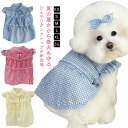 犬 服 タンクトップ 防蚊 接触冷感 中型犬 暑さ対策 シャツ 犬 男の子 犬服夏 メッシュ 猫服 2枚セット 小型犬 ドッグウェア ひんやり クールウェア 冷...