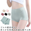 ゆったり レディース 春夏用 トランクス 夏 女性用下着 スタンダード 女性用 ボックスショーツ 無地 ゆったり シームレスショーツ ボックスショーツ 綿 締め...