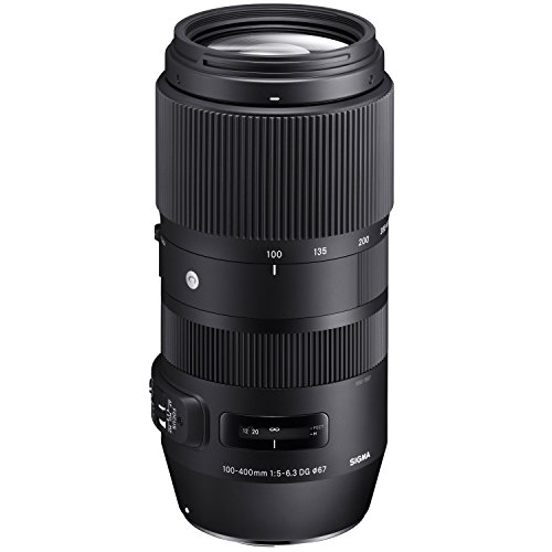 SIGMA 100-400mm F5-6.3 DG OS HSM | Contemporary C017 | Canon EFマウント | Full-Size/Large-Format