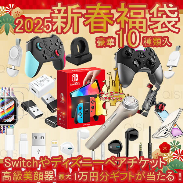 【200円OFF●店内全品2点より】kisiya 福袋 2025 豪華10点 Switch ディズニー 美顔器 1万ギフト 当たる レディース コントローラー シームレスショーツ ナイトブラ ノンワイヤーブラ 授乳ブラ ガードル ハイウエストショーツ 矯正ベルト ショーツ シームレスショーツ 手袋