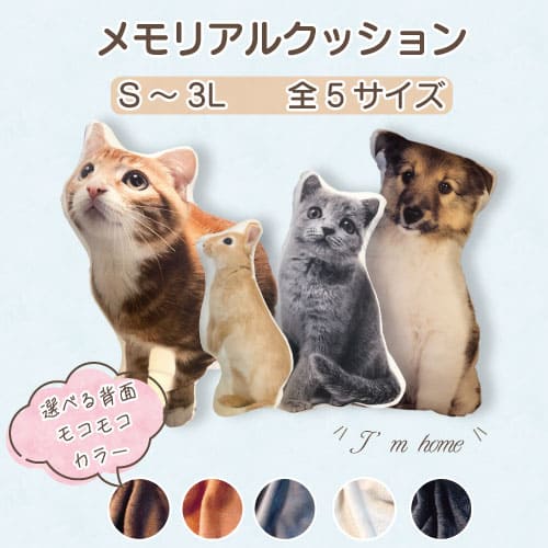 ڥץ쥼դ akashi⥳⥳΢Ϣ䡡ꥢ륯å [S] [M] [L] [2L] [3L]  ᥤ ̿ץ